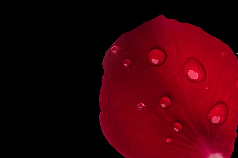 Podmetač tekstura crvenih latica - TenStickers