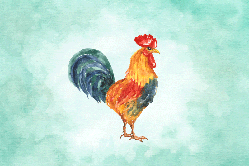 Podmetač izvornik ilustracija šarenog pijetla - TenStickers