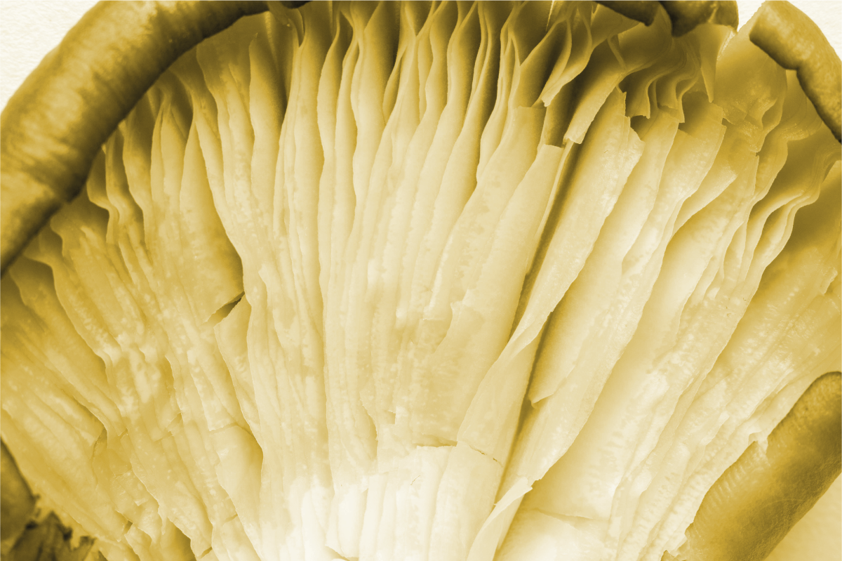 Podmetač tekstura u obliku zakrivljenih listova - TenStickers