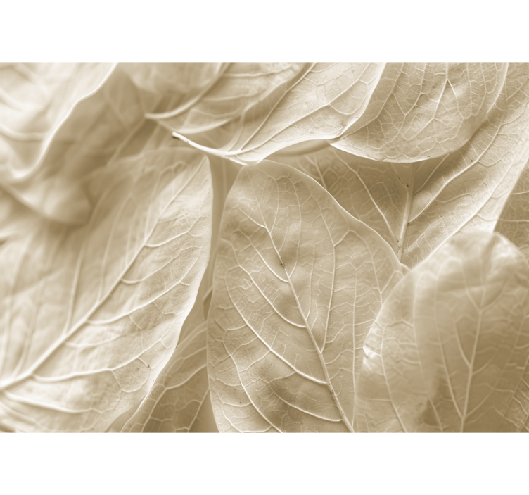 Foto tapete za glavna spavaću sobu veliki bež listovi - TenStickers