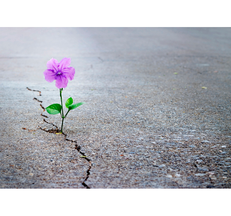 3d cvjetni zidni pozadina - TenStickers