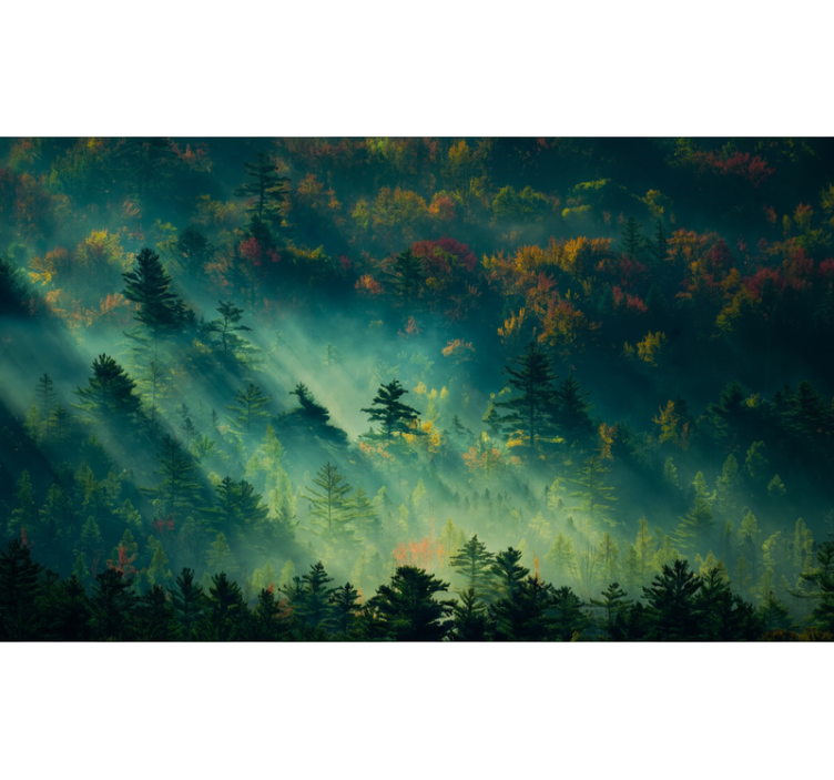 Foto tapete šumski melankolična šuma - TenStickers