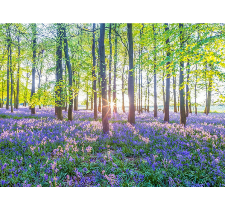 Foto tapete šumski u modernizmu inspiriranom prirodom - TenStickers