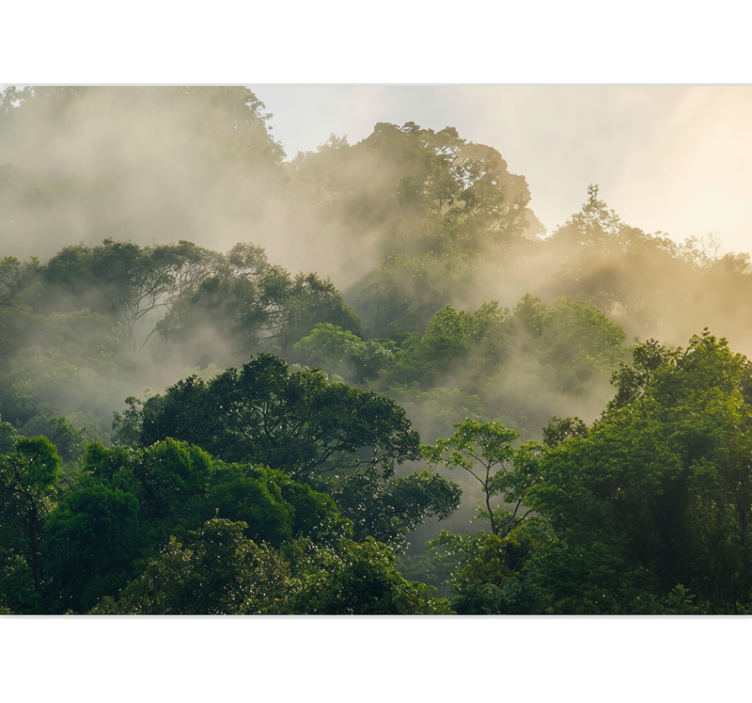 Foto tapete šumski raskošni krošnji džungle - TenStickers