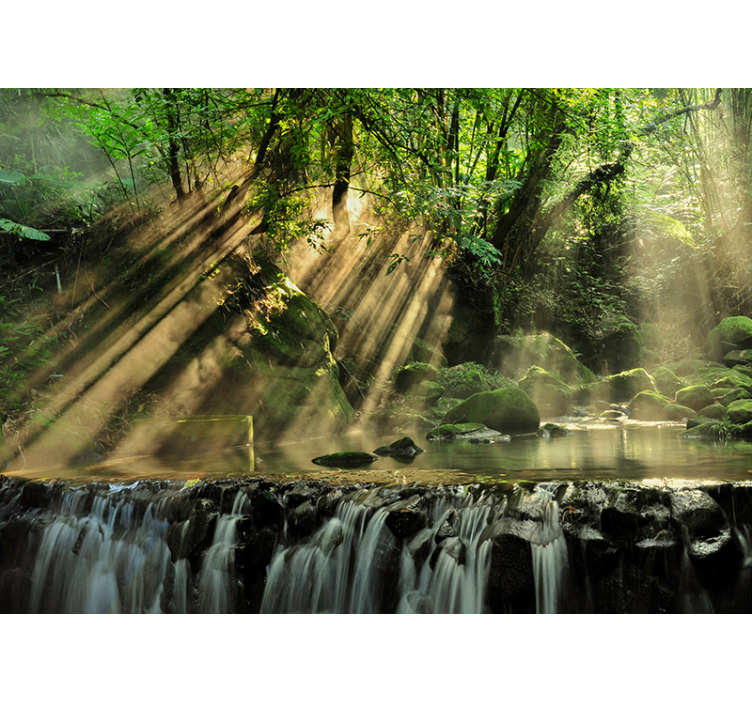 Foto tapete šumski suncem obasjan šumski vodopad - TenStickers