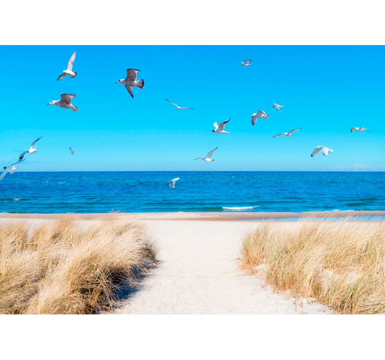 Foto tapeta spokoj primorske obale - TenStickers