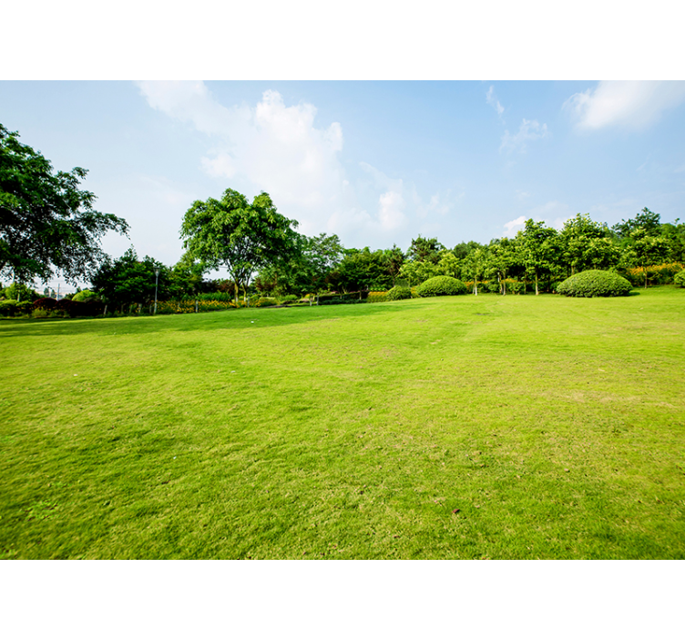 Zidni mural zelene livade - TenStickers