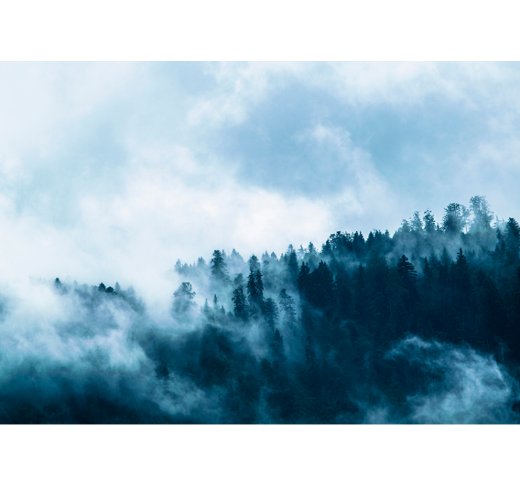 Zimski magloviti šumski zidni mural - TenStickers
