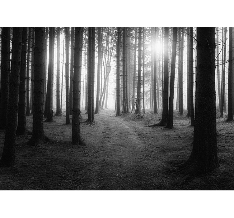 Sivi šumski zidni mural za vas - TenStickers