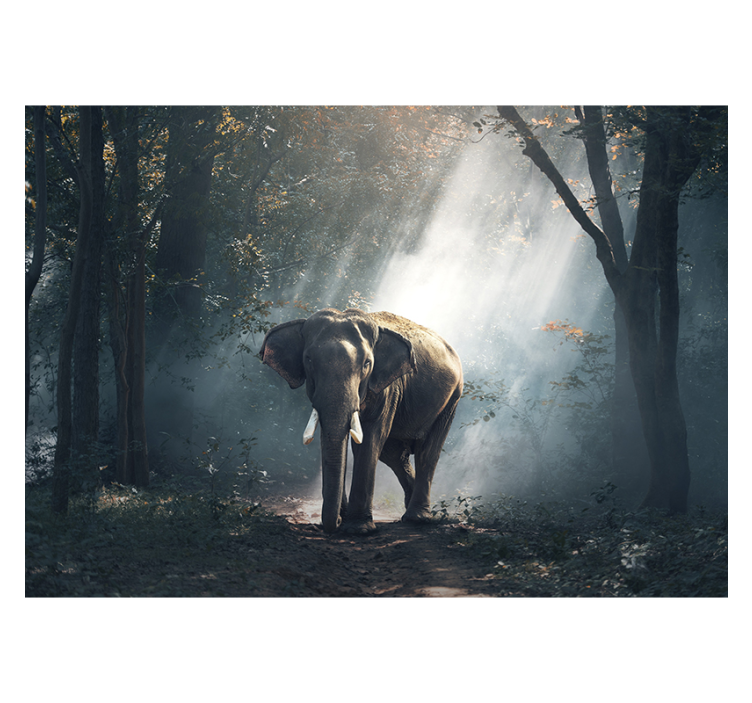 Zidni freske majestic forest elephant - TenStickers