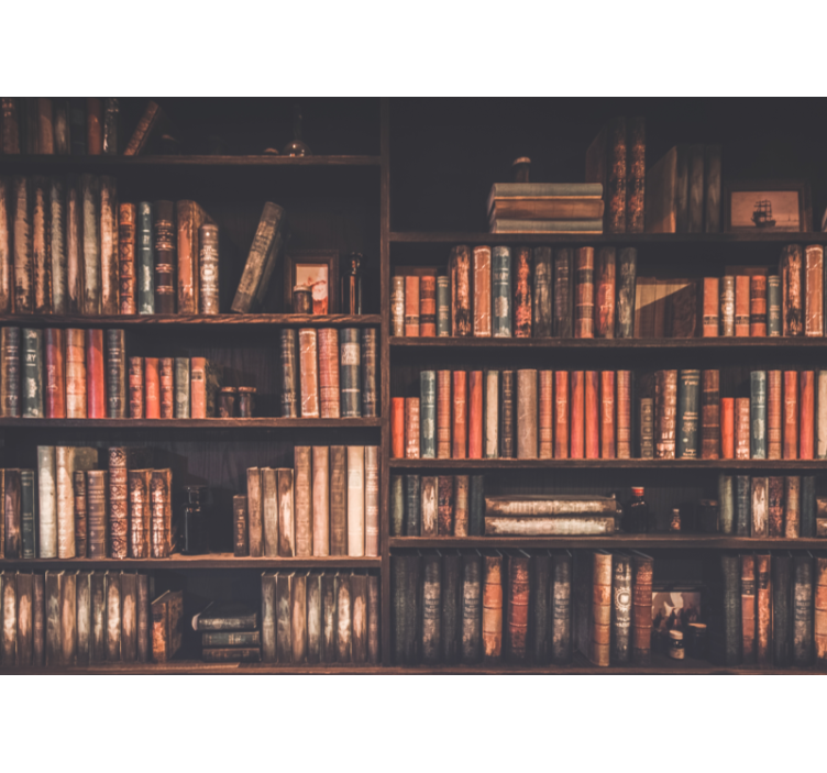 Starinski zidni zid s policom za knjige - TenStickers