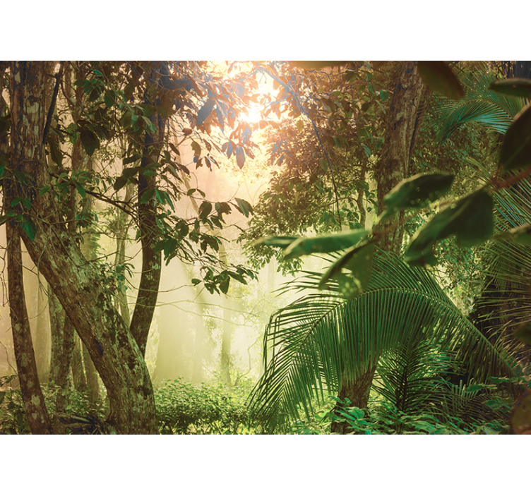 Tapete priroda sunny woodland view - TenStickers