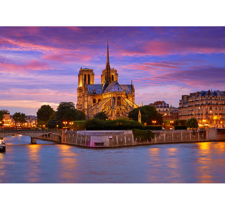 Notre dame sunset paris zidni zid - TenStickers