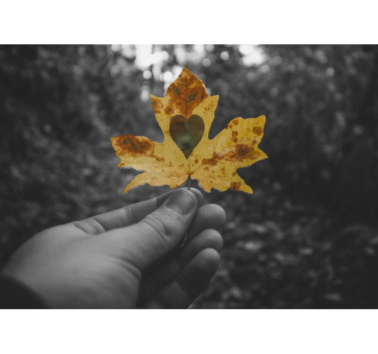 tapete priroda list u obliku srca - TenStickers