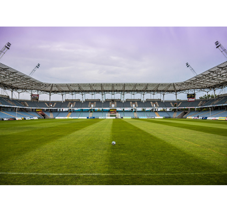 Zidne slike i zidne freske scena nogometnog terena - TenStickers