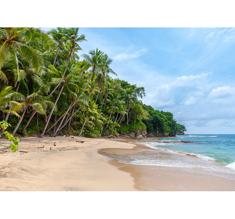 Tapete priroda tropska obala oaze - TenStickers