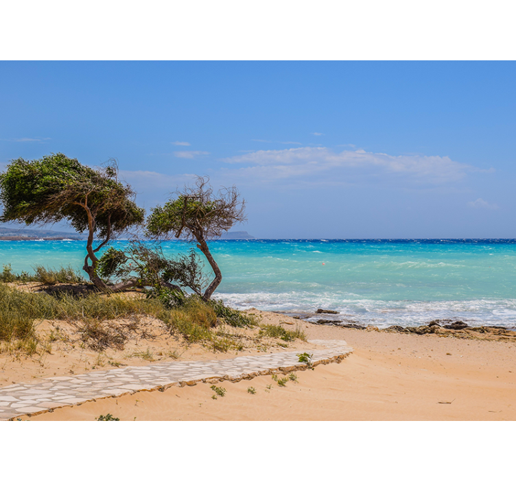 Foto tapeta staza spokojne scene - TenStickers