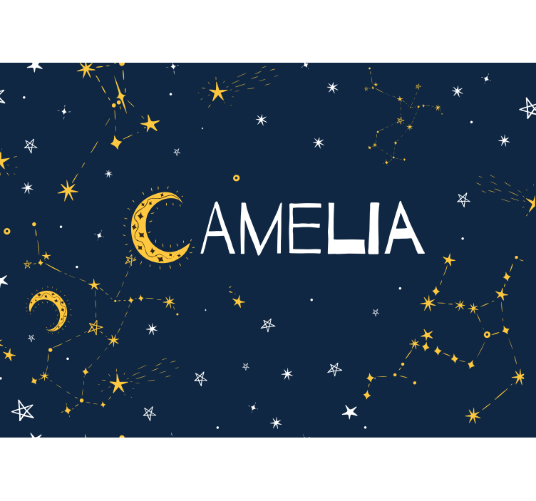 Sazviježđa i mjesečeve zidne freske - TenStickers