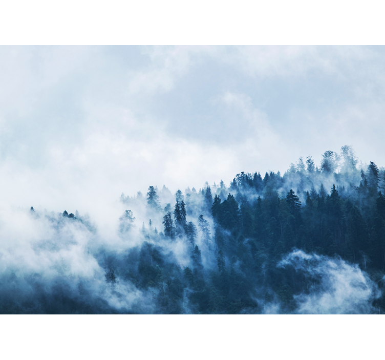 Tapete priroda magloviti šumski pejzaž - TenStickers