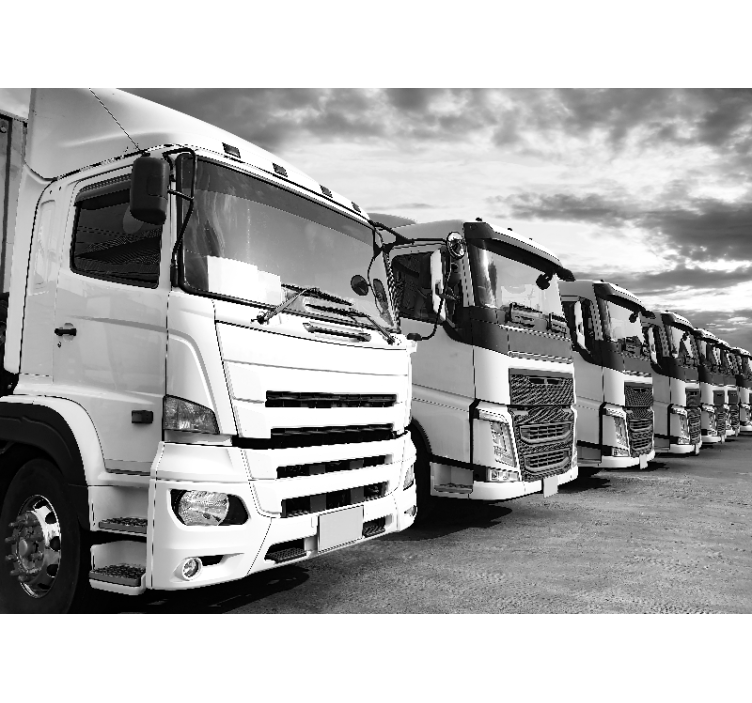 Kamioni poredani zidni zid - TenStickers