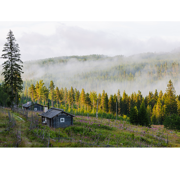 Foto tapeta šuma prekrivena maglom - TenStickers