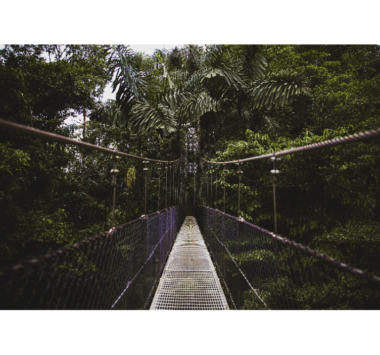 Most u džungli zidni zid - TenStickers