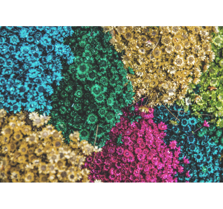 Foto tapete cvijet u šarenim cvjetnim uzorcima - TenStickers