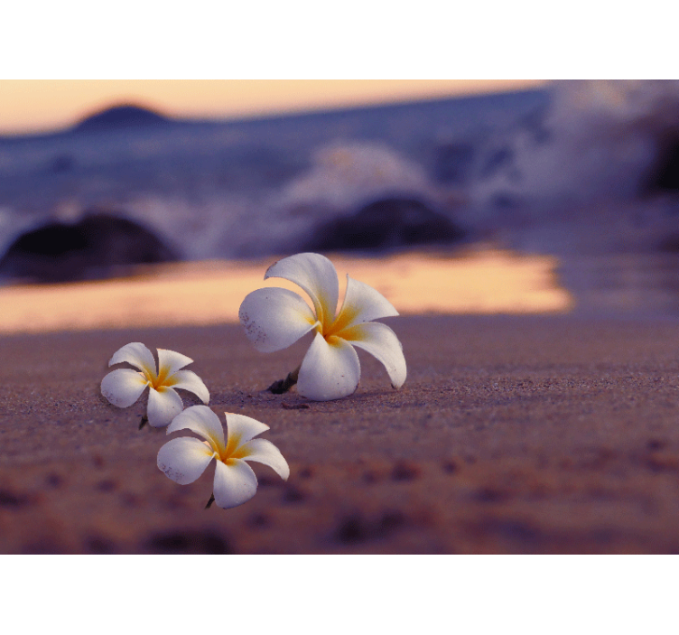 Foto tapete od maka tropski cvjetni trio - TenStickers