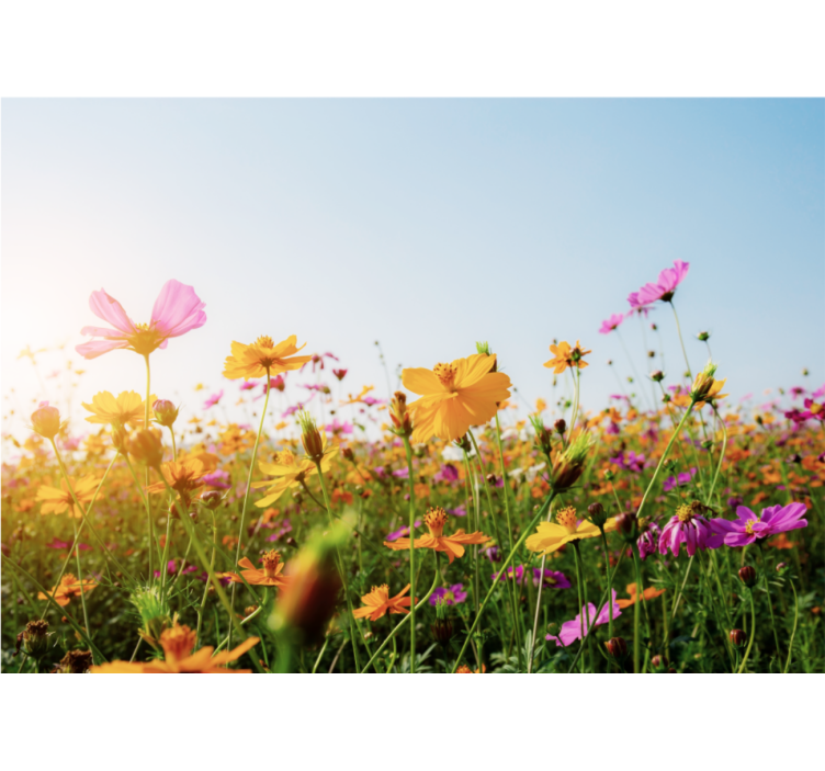 Mješavina vrsta cvijeća zidni zid - TenStickers