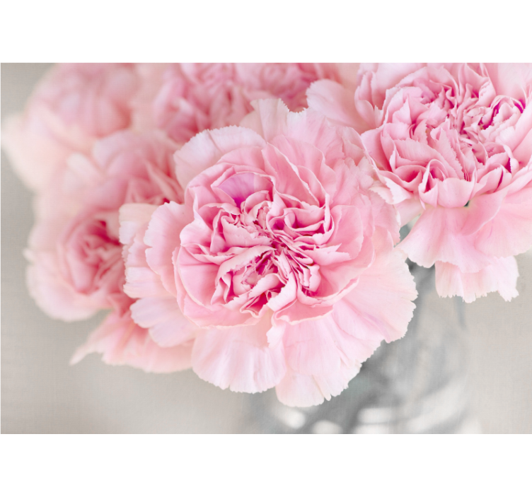 Foto tapete cvijet divni ružičasti cvjetovi - TenStickers