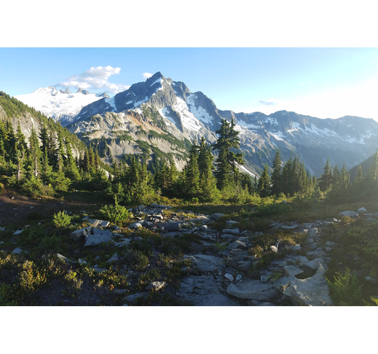 Foto tapeta pogled na planinski šumovit krajolik - TenStickers