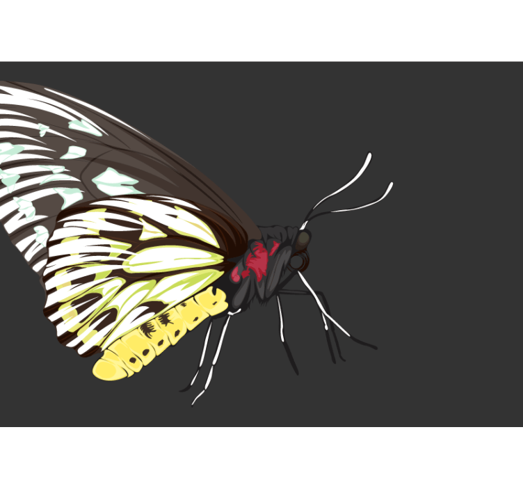 Foto tapeta dizajn žutog leptira - TenStickers