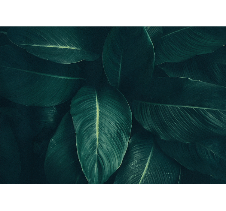 Tapete priroda bogata lisnata tekstura - TenStickers