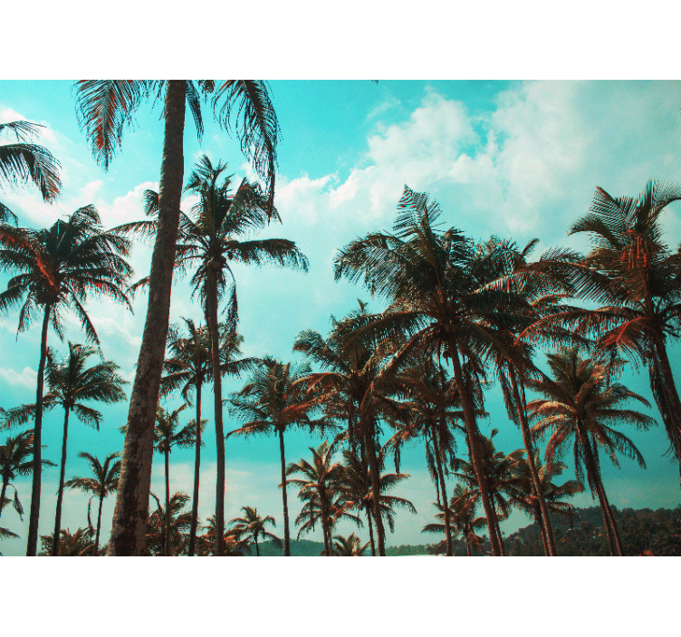 Tapete priroda raj palmama - TenStickers