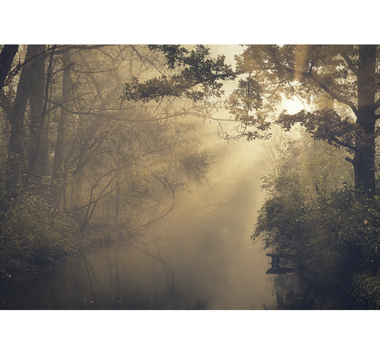 Tapete priroda osvijetljena šuma pejzaž - TenStickers