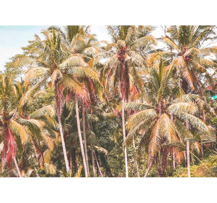 Tapete priroda lush palm forest - TenStickers