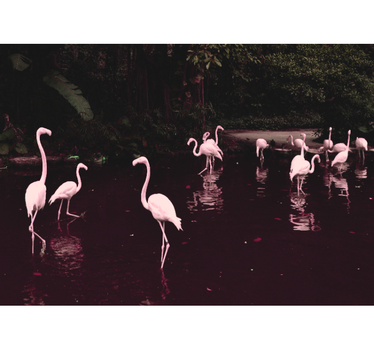 Foto tapeta ured elegantno okupljanje flamingosa - TenStickers