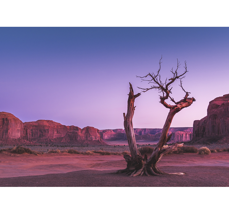 Foto tapeta struktura kamenog pustinjskog terena - TenStickers