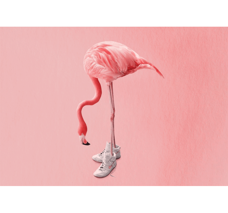 Foto tapeta flamingo u tenisicama - TenStickers