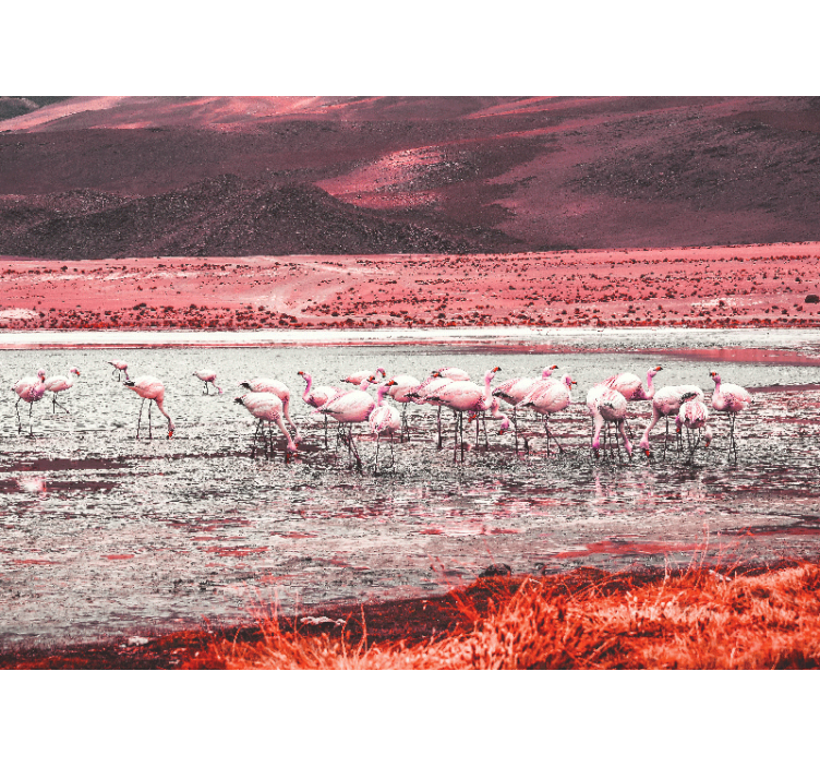 Foto tapeta flamingo stanište scena - TenStickers
