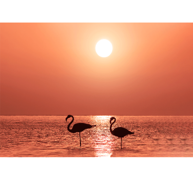 Zidni freske prizor zalaska sunca s flamingom - TenStickers