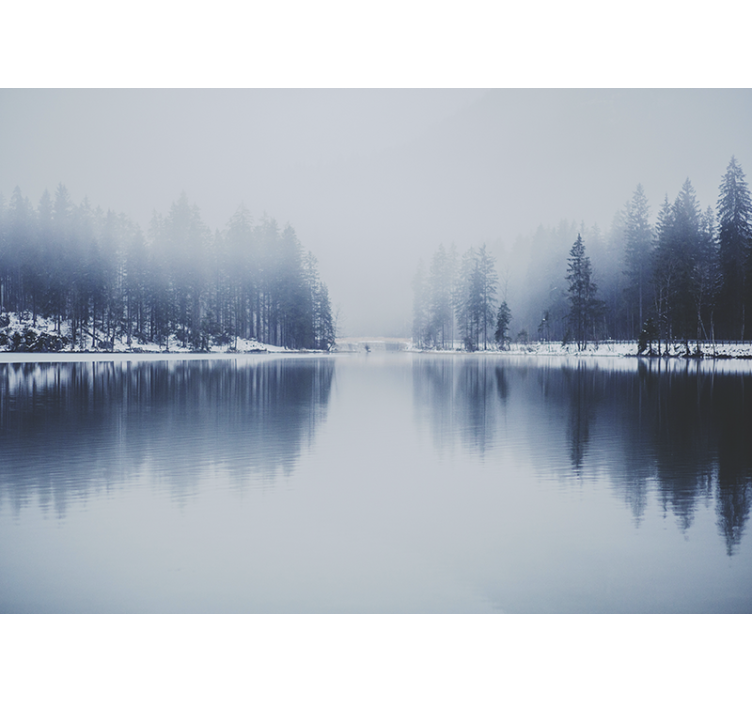 Zimska maglovita šuma priroda zidni mural - TenStickers