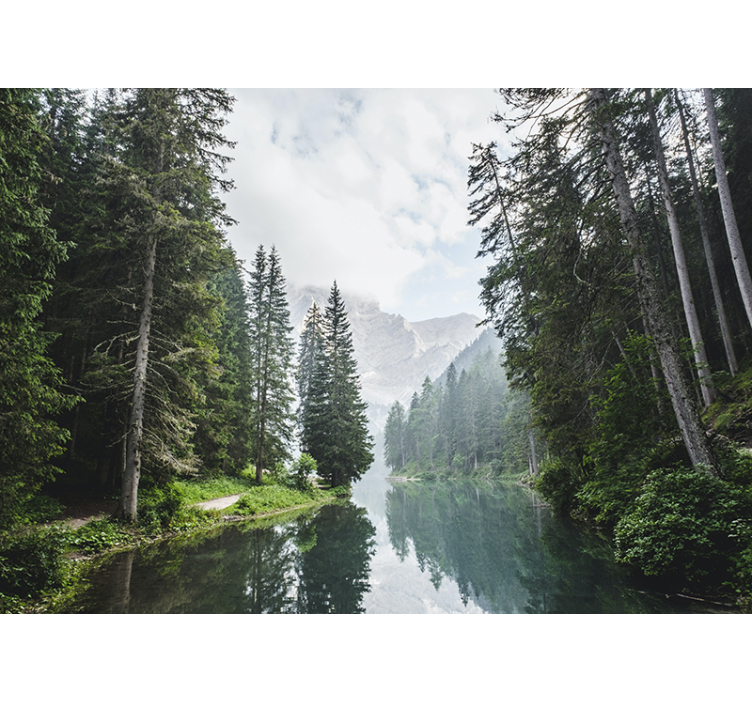 Foto tapeta mirni šumski odjek - TenStickers