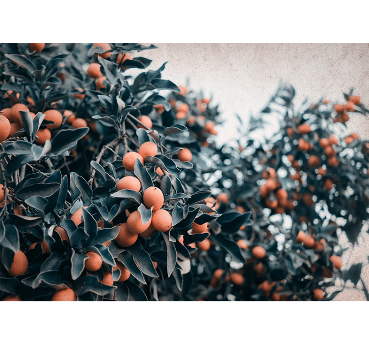 Foto tapete cvijet grana citrusa - TenStickers