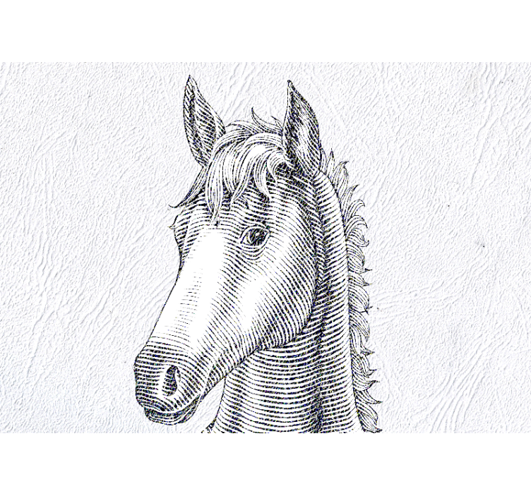 Zidni freske elegantan portret konja - TenStickers