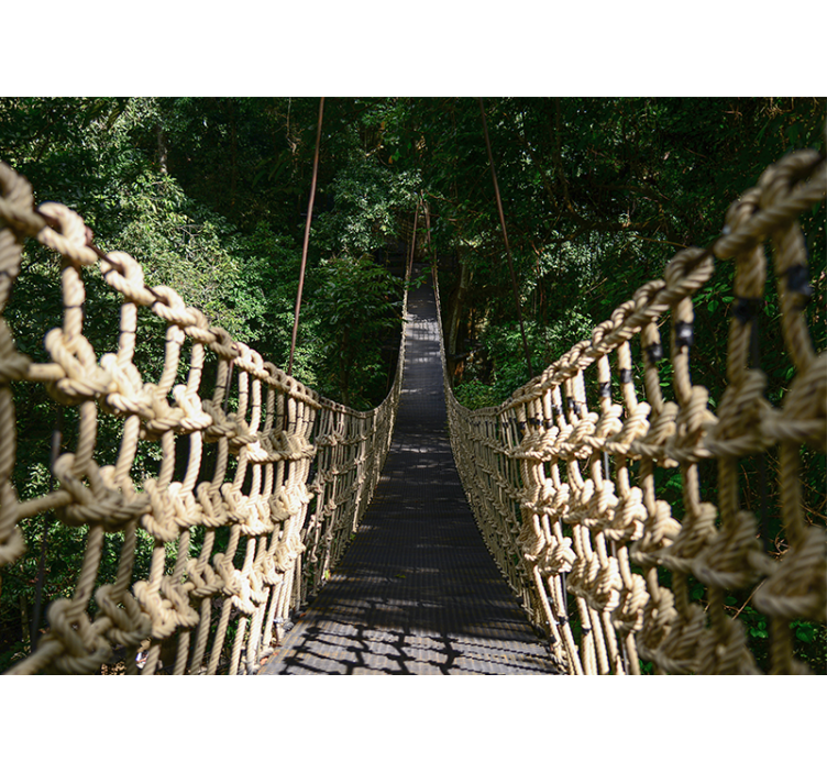 Tapete priroda suspended forest path - TenStickers