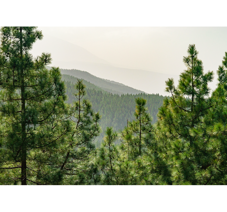 Tapete priroda bujni zeleni pejzaž - TenStickers