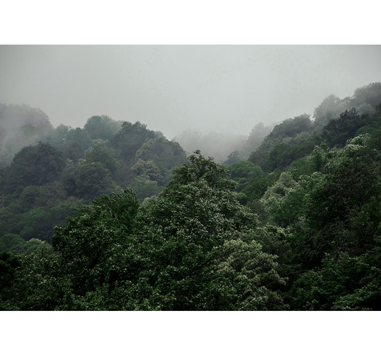 Foto tapete šumski magloviti krajolik - TenStickers