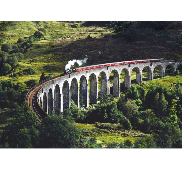 Zidne slike i zidne freske ikonički željeznički most - TenStickers