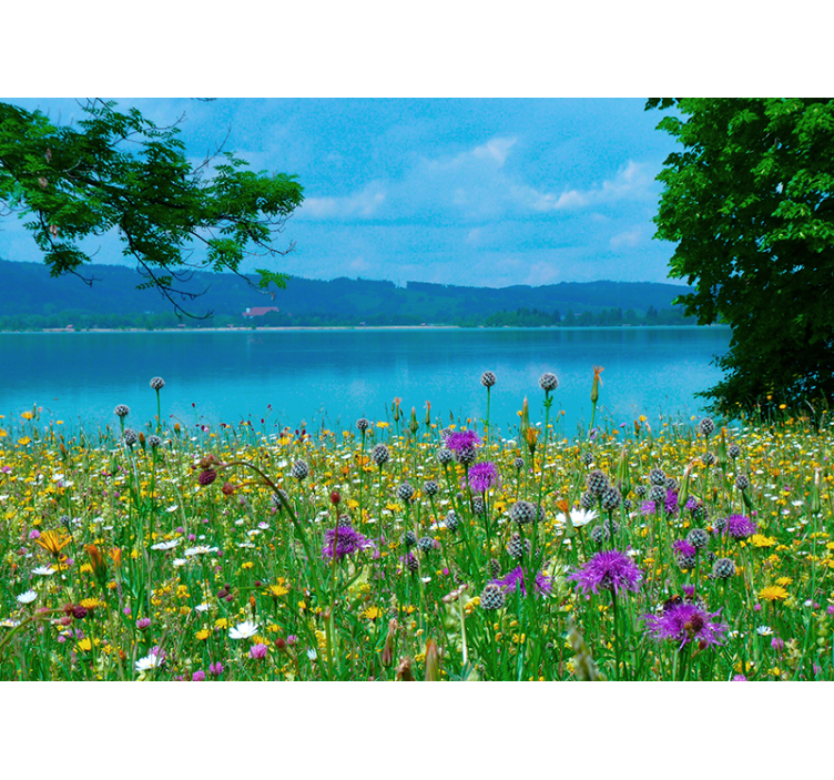 "cottagecore" spring lake nature zidni mural - TenStickers